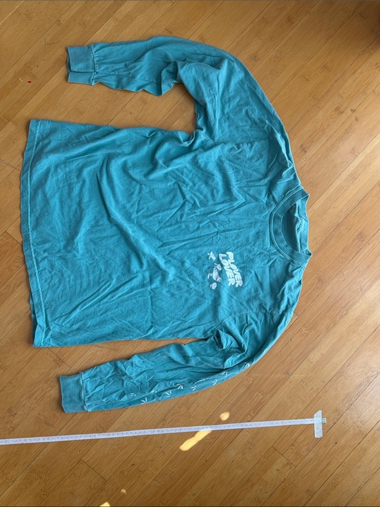 Bird Collective Other - Bird collective Plover Lover long sleeve teal t shirt